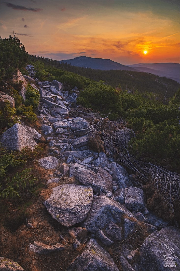 Ścieżka nad Reglami