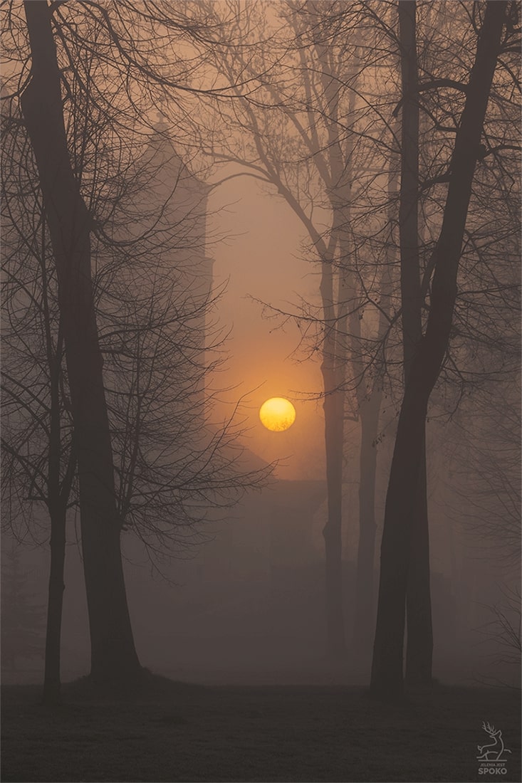 Wojanów