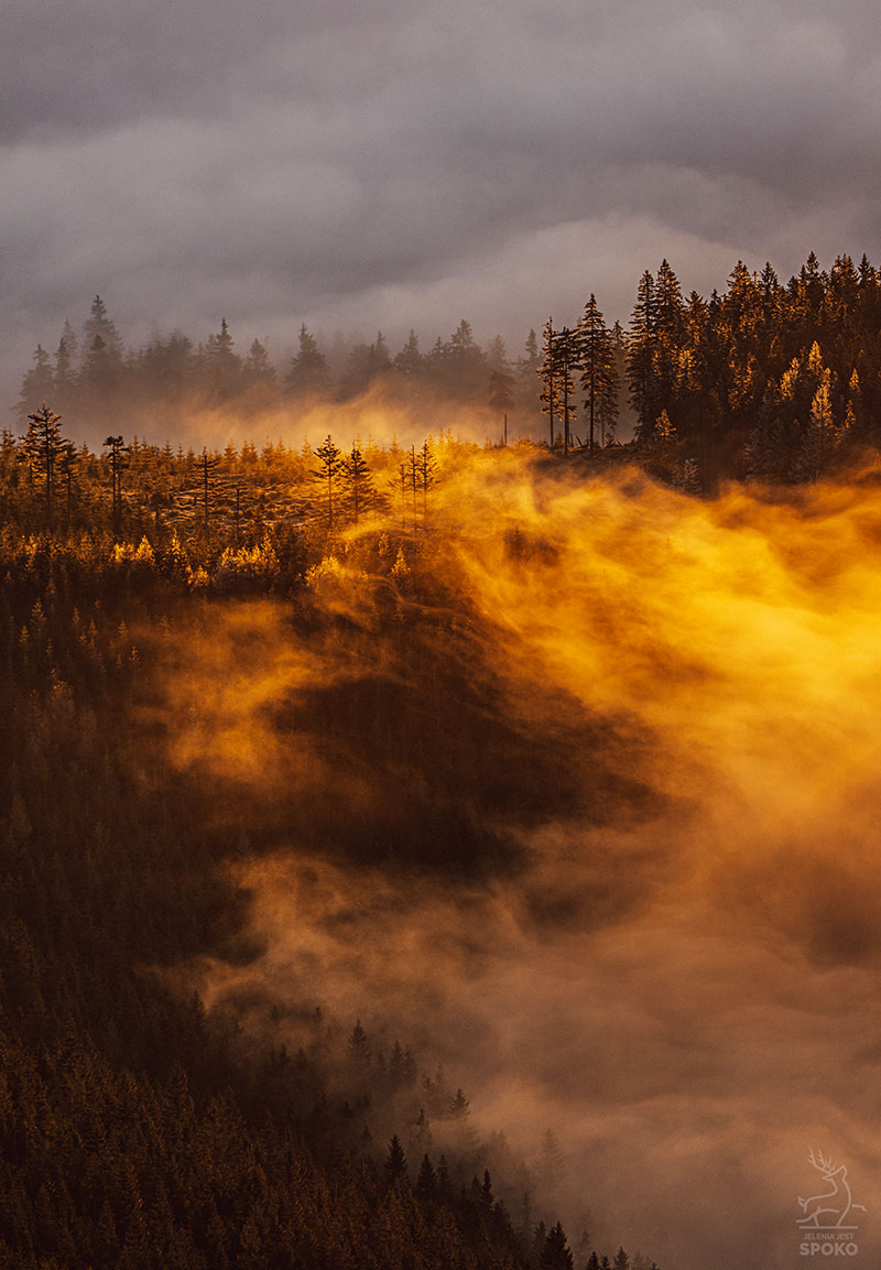 Mglisty pożar trawi karkonoski las