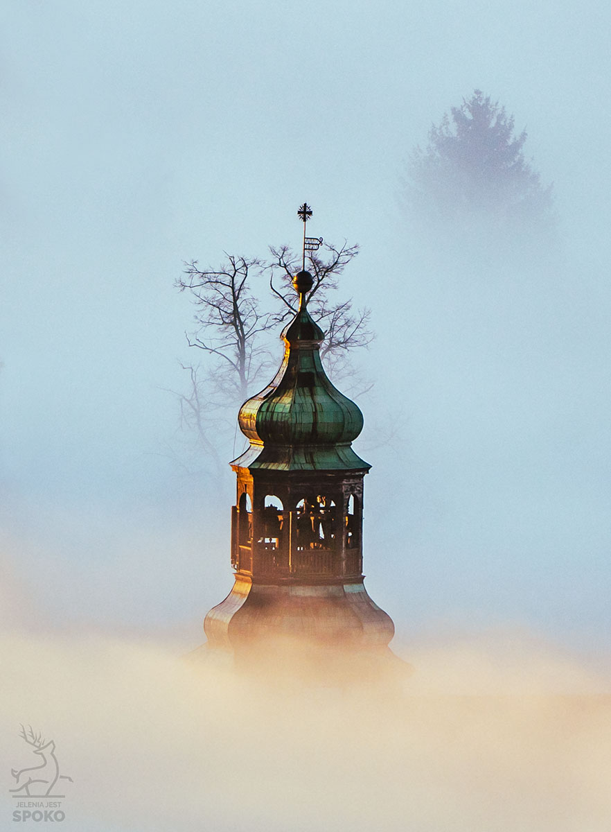 Sosnówka w mgłach #2