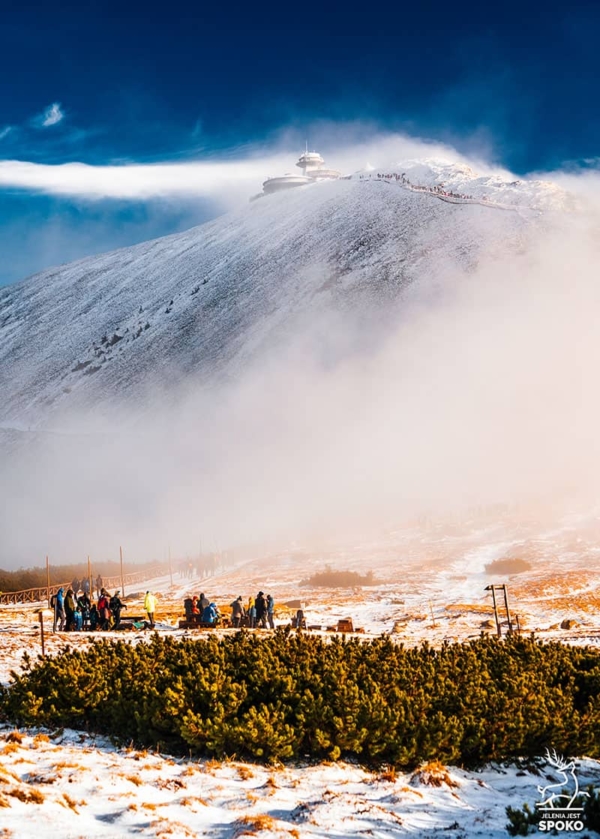 Śnieżka Barwna by Jelenia Jest SPOKO