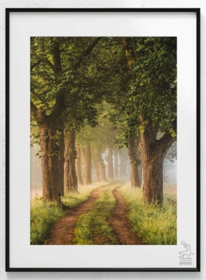 Aleja Stawy Podgórzyńskie 4 plakat od Jelenia jest SPOKO_wiz