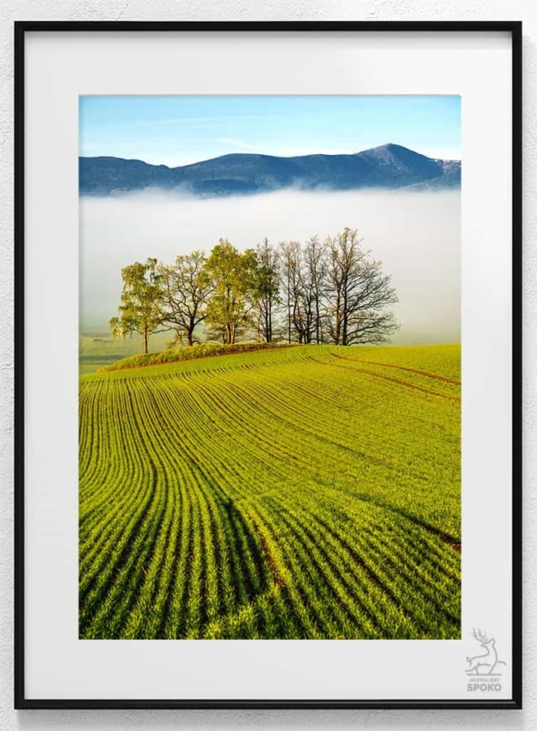 Karkonoski sen o Toskanii 3 plakat od Jelenia jest SPOKO_wiz