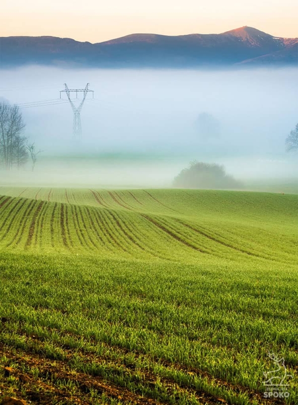 Karkonoski sen o Toskanii 4 plakat od Jelenia jest SPOKO_full