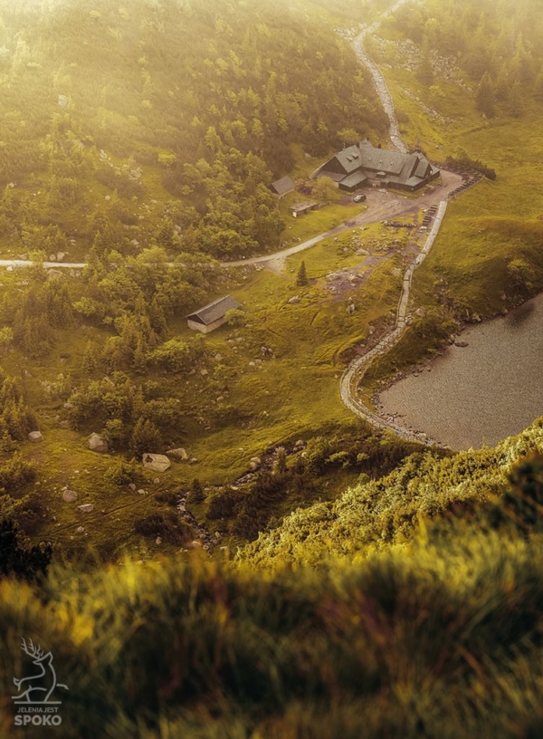 SAMOTNIA Shire plakat od Jelenia jest SPOKO_full