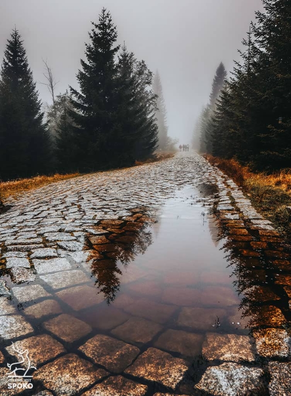 Karkonosze odbicie plakat od Jelenia jest SPOKO_full