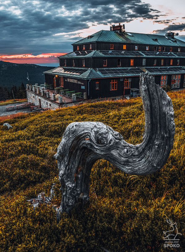 SCHRONISKO Odrodzenie róg triumfalny plakat od Jelenia jest SPOKO_full