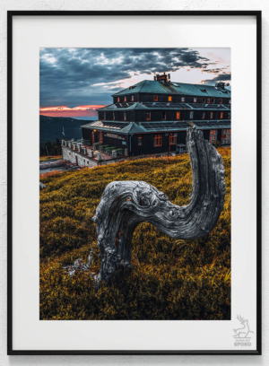 SCHRONISKO Odrodzenie róg triumfalny plakat od Jelenia jest SPOKO_wiz