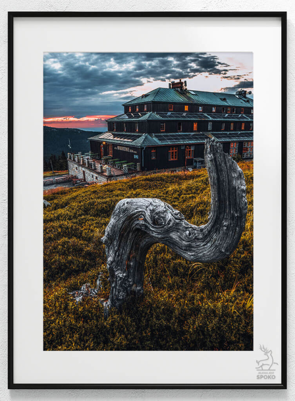 SCHRONISKO Odrodzenie róg triumfalny plakat od Jelenia jest SPOKO_wiz