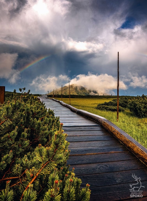 ŚNIEŻKA Burzliwa plakat od Jelenia jest SPOKO_wiz