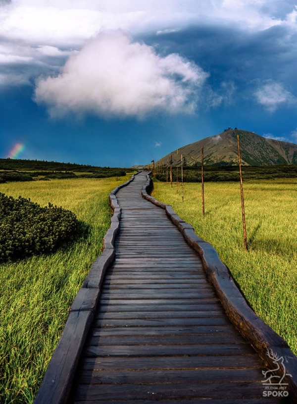ŚNIEŻKA Chmurka plakat od Jelenia jest SPOKO_full