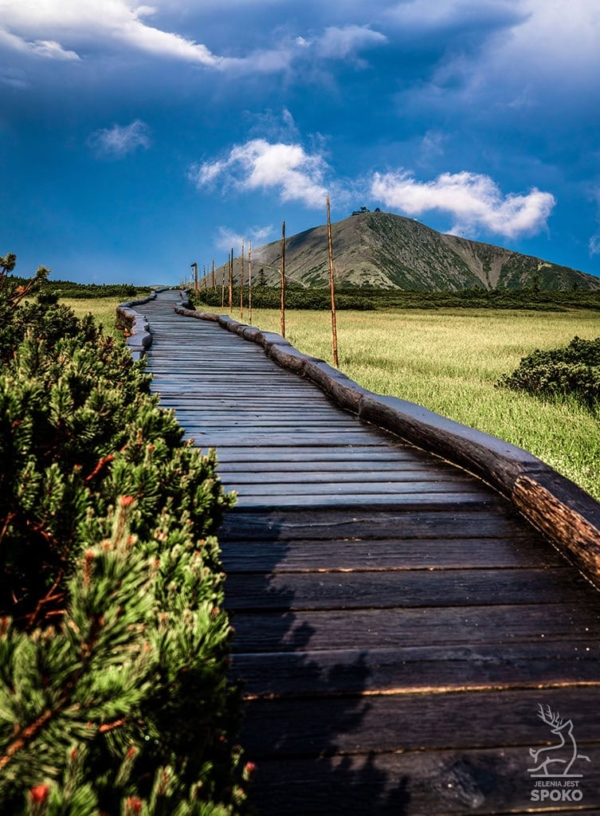 ŚNIEŻKA Droga przez mokradła plakat od Jelenia jest SPOKO_full