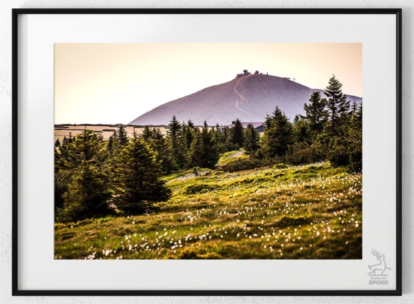 ŚNIEŻKA Wełnianki plakat od Jelenia jest SPOKO_wiz