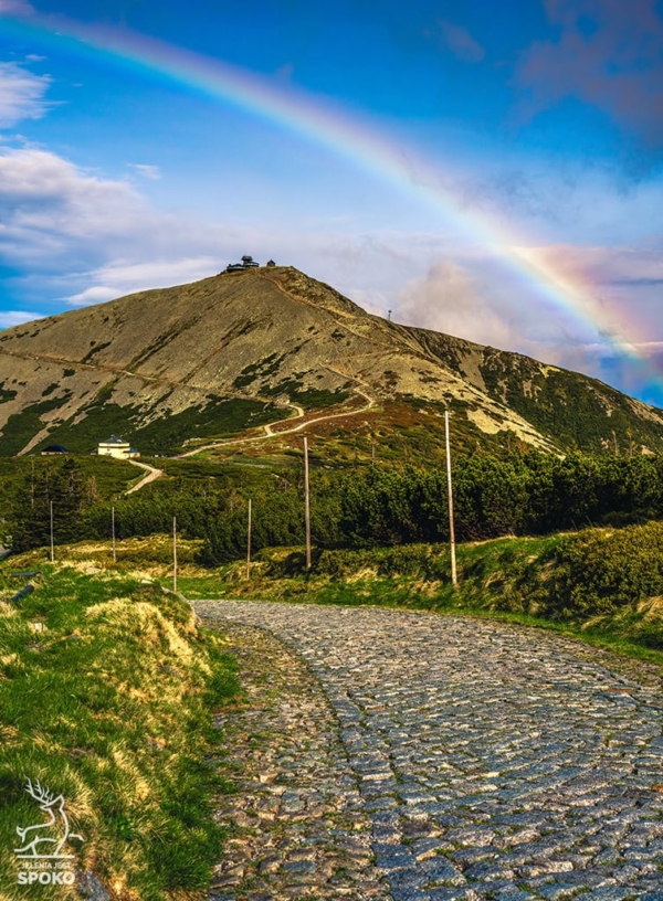 Śnieżka Teczowa 1 plakat od Jelenia jest SPOKO_full