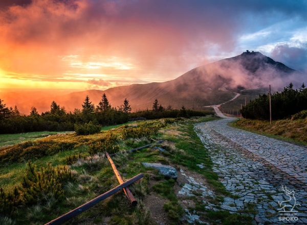 Śnieżka ognista 3 plakat od Jelenia jest SPOKO_full Śnieżka ognista 3 plakat od Jelenia jest SPOKO_full