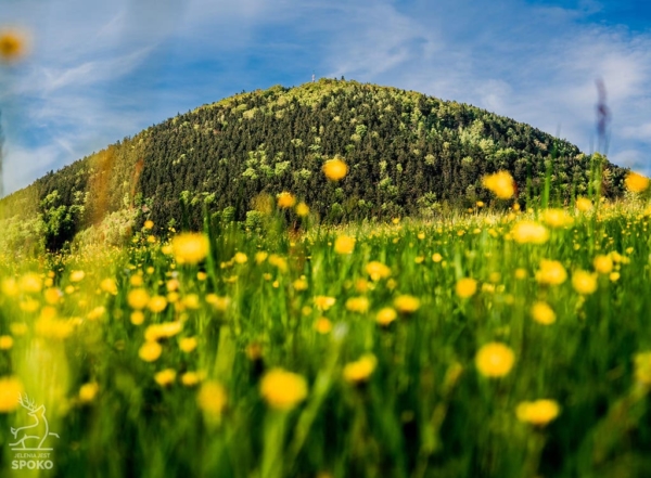 Góry Krucze Královecký Špičák od Jelenia jest SPOKO_full