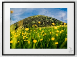 Góry Krucze Královecký Špičák od Jelenia jest SPOKO_wiz