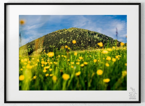 Góry Krucze Královecký Špičák od Jelenia jest SPOKO_wiz