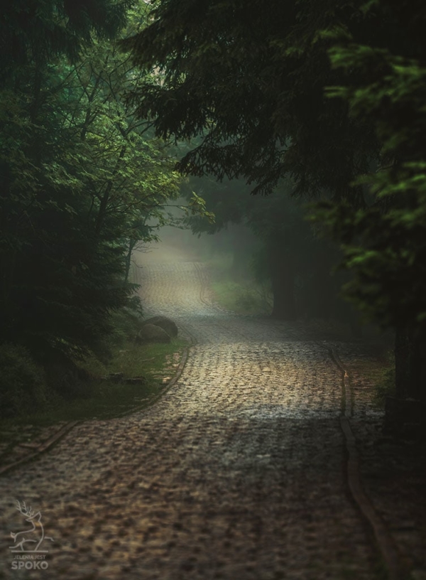 Karkonoskie Szlaki W towarzystwie mgieł i deszczu 1 plakat od Jelenia jest SPOKO_full