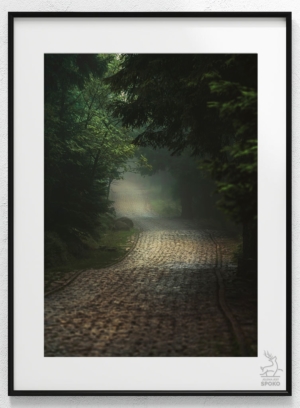 Karkonoskie Szlaki W towarzystwie mgieł i deszczu 1 plakat od Jelenia jest SPOKO_wiz