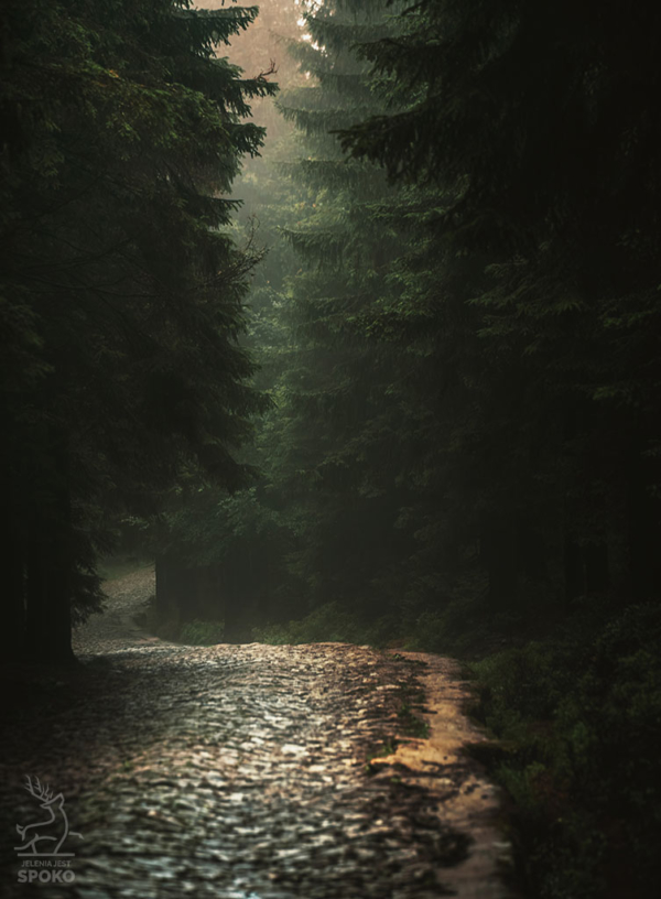 Karkonoskie Szlaki W towarzystwie mgieł i deszczu 2 plakat od Jelenia jest SPOKO_full