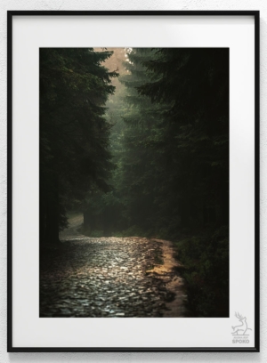 Karkonoskie Szlaki W towarzystwie mgieł i deszczu 2 plakat od Jelenia jest SPOKO_wiz