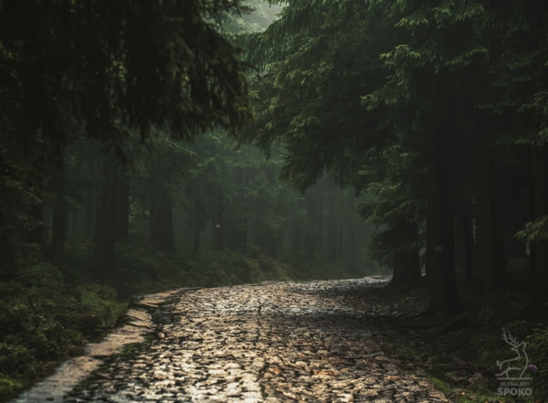Karkonoskie Szlaki W towarzystwie mgieł i deszczu 3 plakat od Jelenia jest SPOKO_full