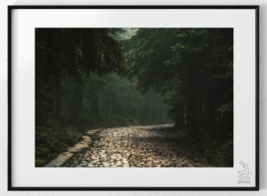 Karkonoskie Szlaki W towarzystwie mgieł i deszczu 3 plakat od Jelenia jest SPOKO_wiz