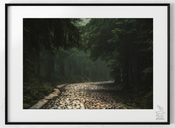 Karkonoskie Szlaki W towarzystwie mgieł i deszczu 3 plakat od Jelenia jest SPOKO_wiz