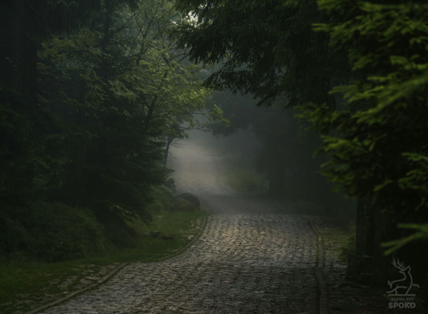 Karkonoskie Szlaki W towarzystwie mgieł i deszczu 4 plakat od Jelenia jest SPOKO_full