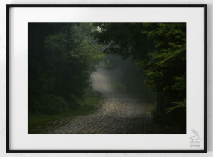 Karkonoskie Szlaki W towarzystwie mgieł i deszczu 4 plakat od Jelenia jest SPOKO_wiz