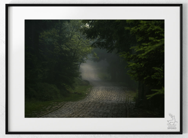 Karkonoskie Szlaki W towarzystwie mgieł i deszczu 4 plakat od Jelenia jest SPOKO_wiz