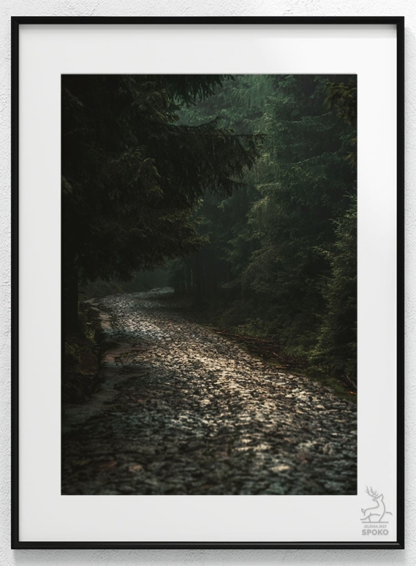 Karkonoskie Szlaki W towarzystwie mgieł i deszczu plakat od Jelenia jest SPOKO_wiz