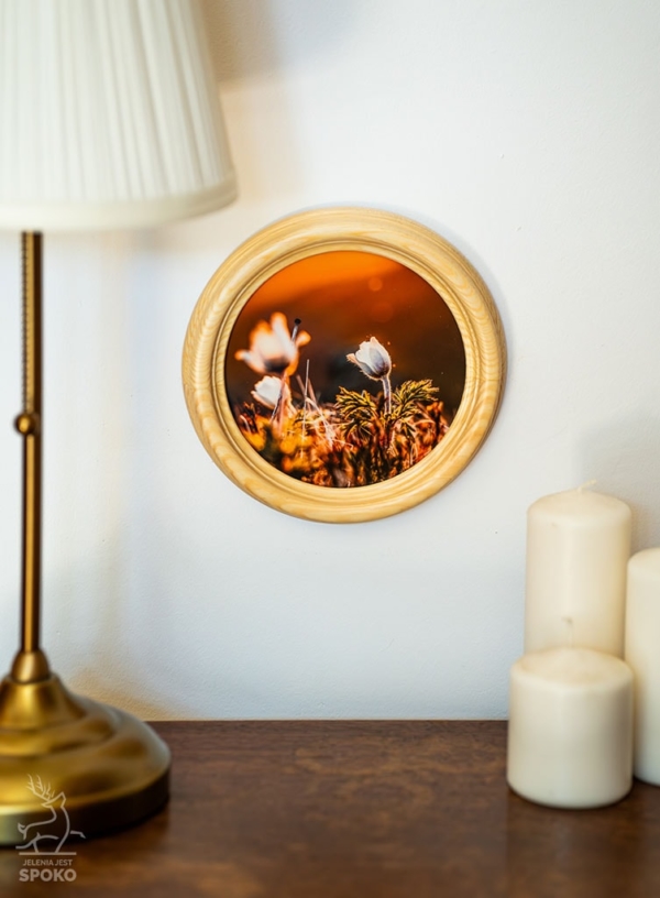 MiniWydruk od Jelenia jest SPOKO w okrągłej ramce MiniWydruk od Jelenia jest SPOKO w okrągłej ramce