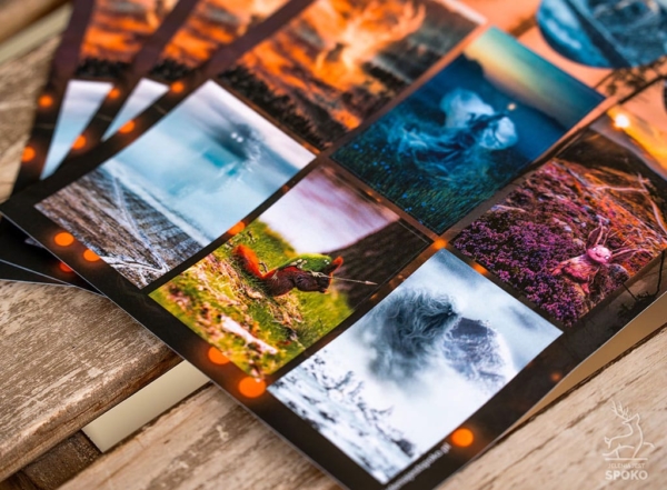 Naklejki Bestiariusz Jeleniogórski od Jelenia jest SPOKO