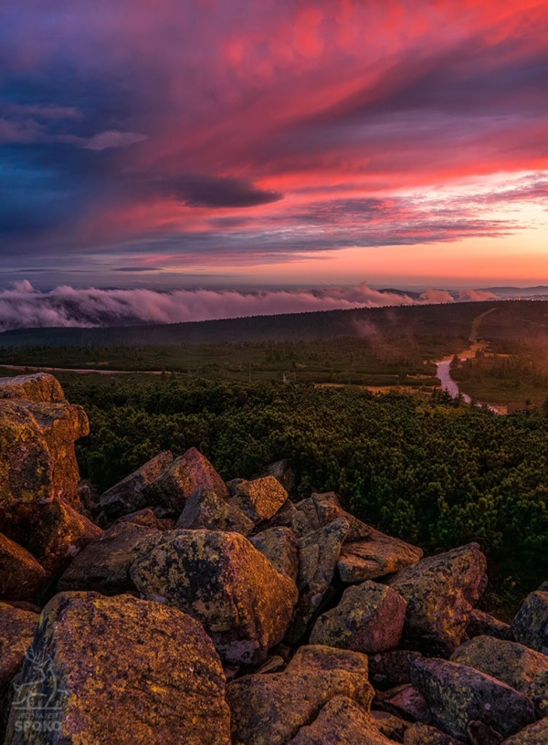Podniebny karmazyn 1 plakat od Jelenia jest SPOKO_full Podniebny karmazyn 1 plakat od Jelenia jest SPOKO_full