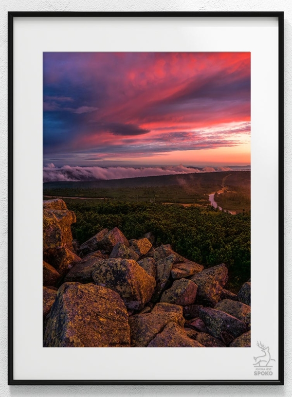 Podniebny karmazyn 1 plakat od Jelenia jest SPOKO_wiz Podniebny karmazyn 1 plakat od Jelenia jest SPOKO_wiz