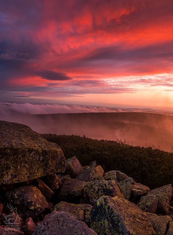 Podniebny karmazyn plakat od Jelenia jest SPOKO_full