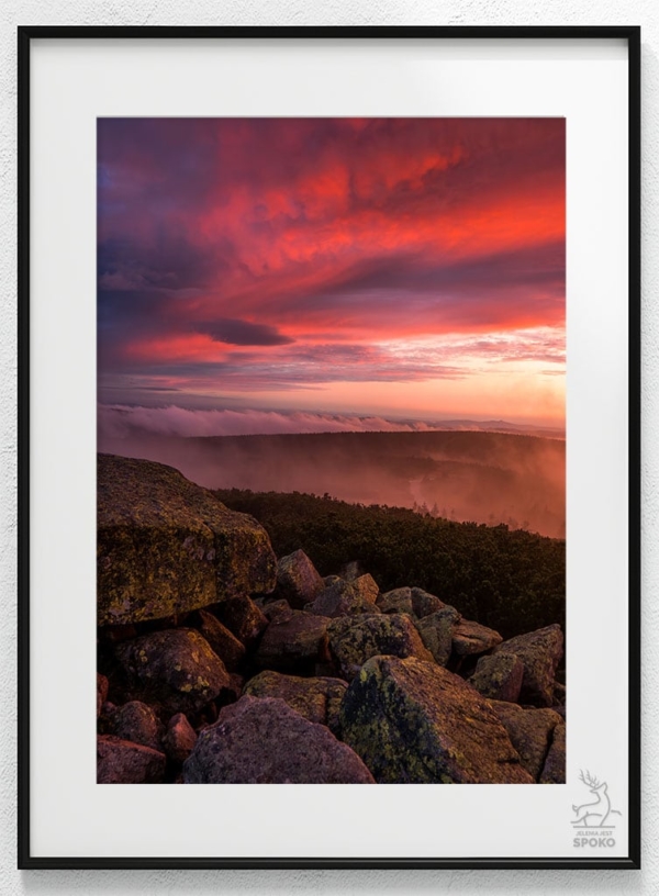 Podniebny karmazyn plakat od Jelenia jest SPOKO_wiz