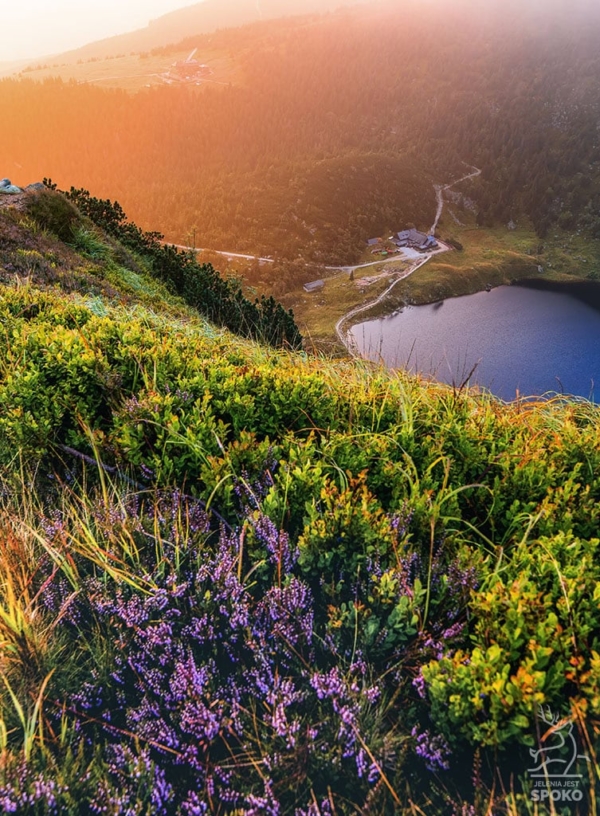 SCHRONISKO Samotnia Jesienne preludium plakat od Jelenia jest SPOKO_full