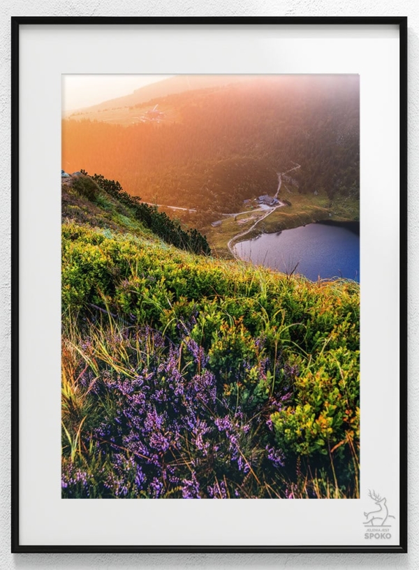 SCHRONISKO Samotnia Jesienne preludium plakat od Jelenia jest SPOKO_wiz