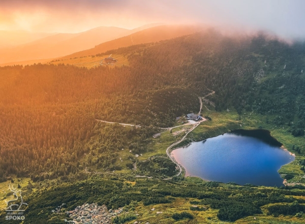 SCHRONISKO Sąsiedzi 1 plakat od Jelenia jest SPOKO_full
