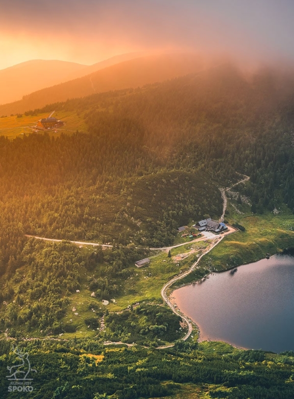SCHRONISKO Sąsiedzi plakat od Jelenia jest SPOKO_full SCHRONISKO Sąsiedzi plakat od Jelenia jest SPOKO_full