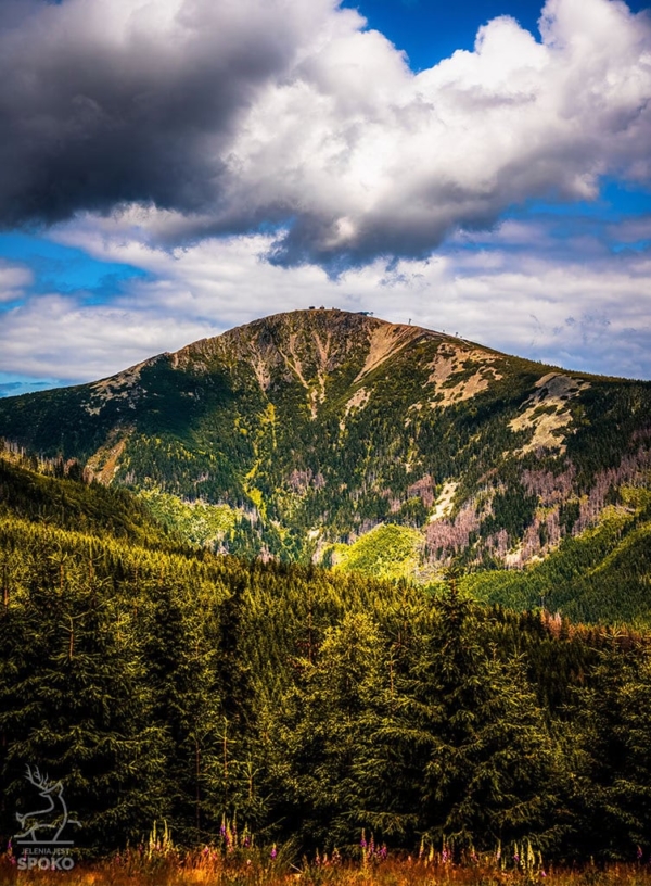 ŚNIEŻKA Zadziorna plakat od Jelenia jest SPOKO_full