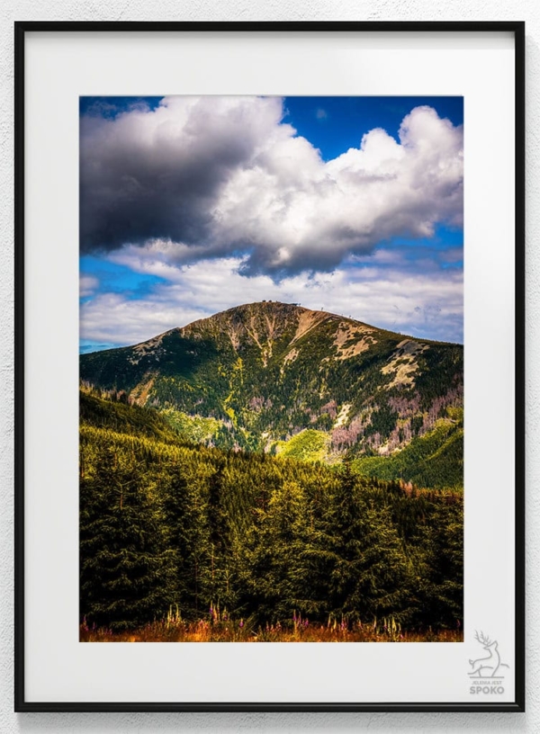 ŚNIEŻKA Zadziorna plakat od Jelenia jest SPOKO_wiz