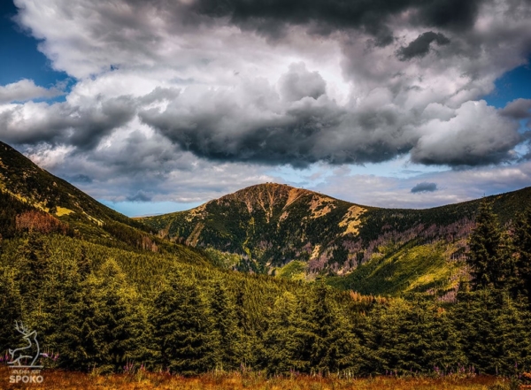 ŚNIEŻKA Zadziorna 3 plakat od Jelenia jest SPOKO_full