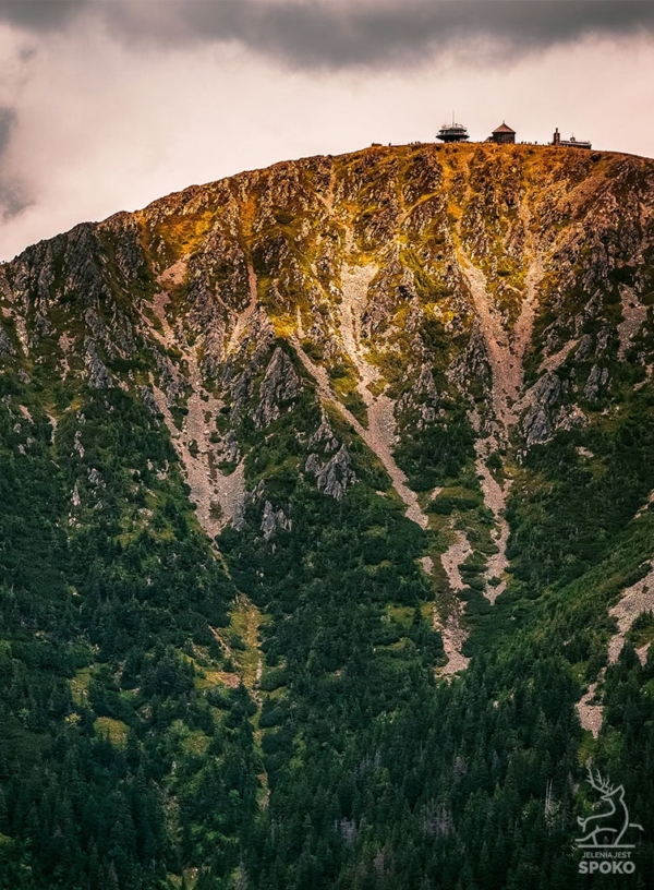 ŚNIEŻKA Zadziorna 1 plakat od Jelenia jest SPOKO_full