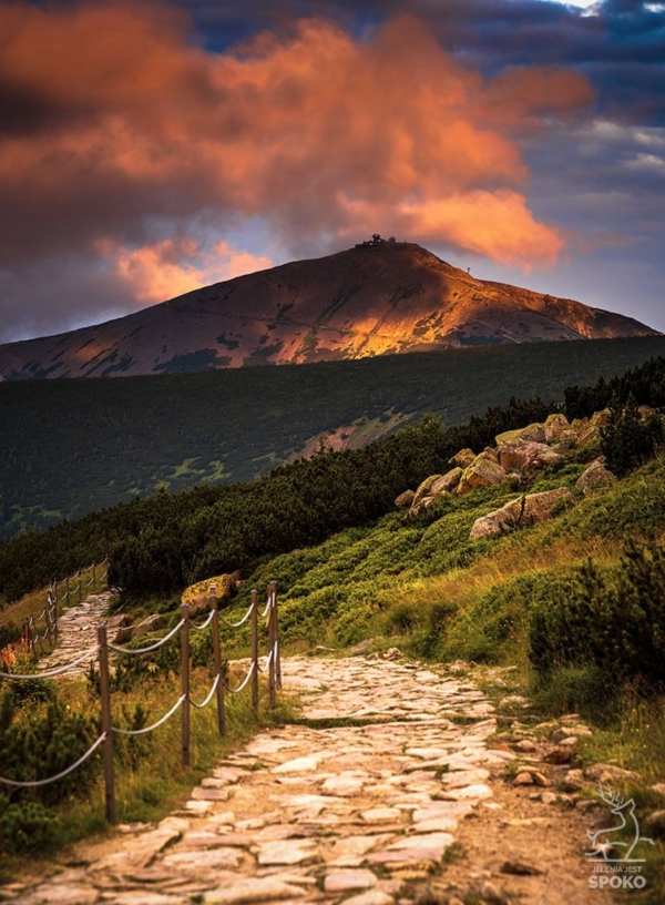 ŚNIEŻKA Złoty naszyjnik 1 plakat od Jelenia jest SPOKO_full ŚNIEŻKA Złoty naszyjnik 1 plakat od Jelenia jest SPOKO_full