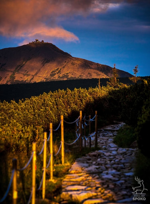 ŚNIEŻKA Złoty naszyjnik plakat od Jelenia jest SPOKO_full ŚNIEŻKA Złoty naszyjnik plakat od Jelenia jest SPOKO_full