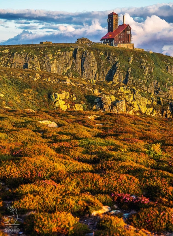 ŚNIEŻNE KOTŁY Wrzosowiska 2 od Jelenia jest SPOKO_full